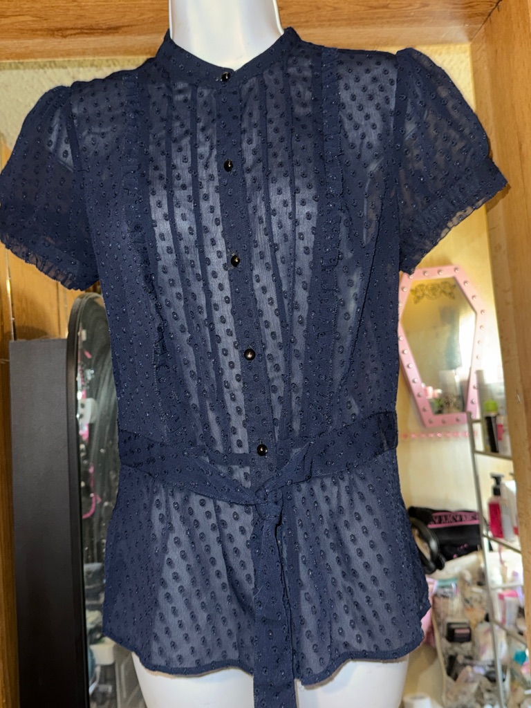 Loft Brand Swiss Dot Sheer Blouse
